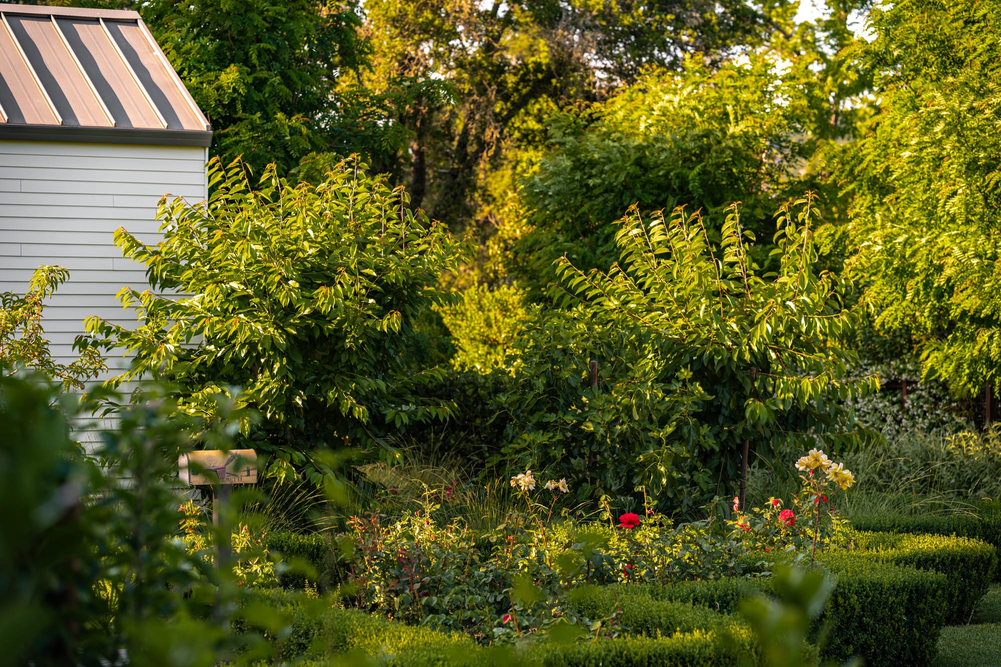 Lush planting and outdoor living in a GFG garden