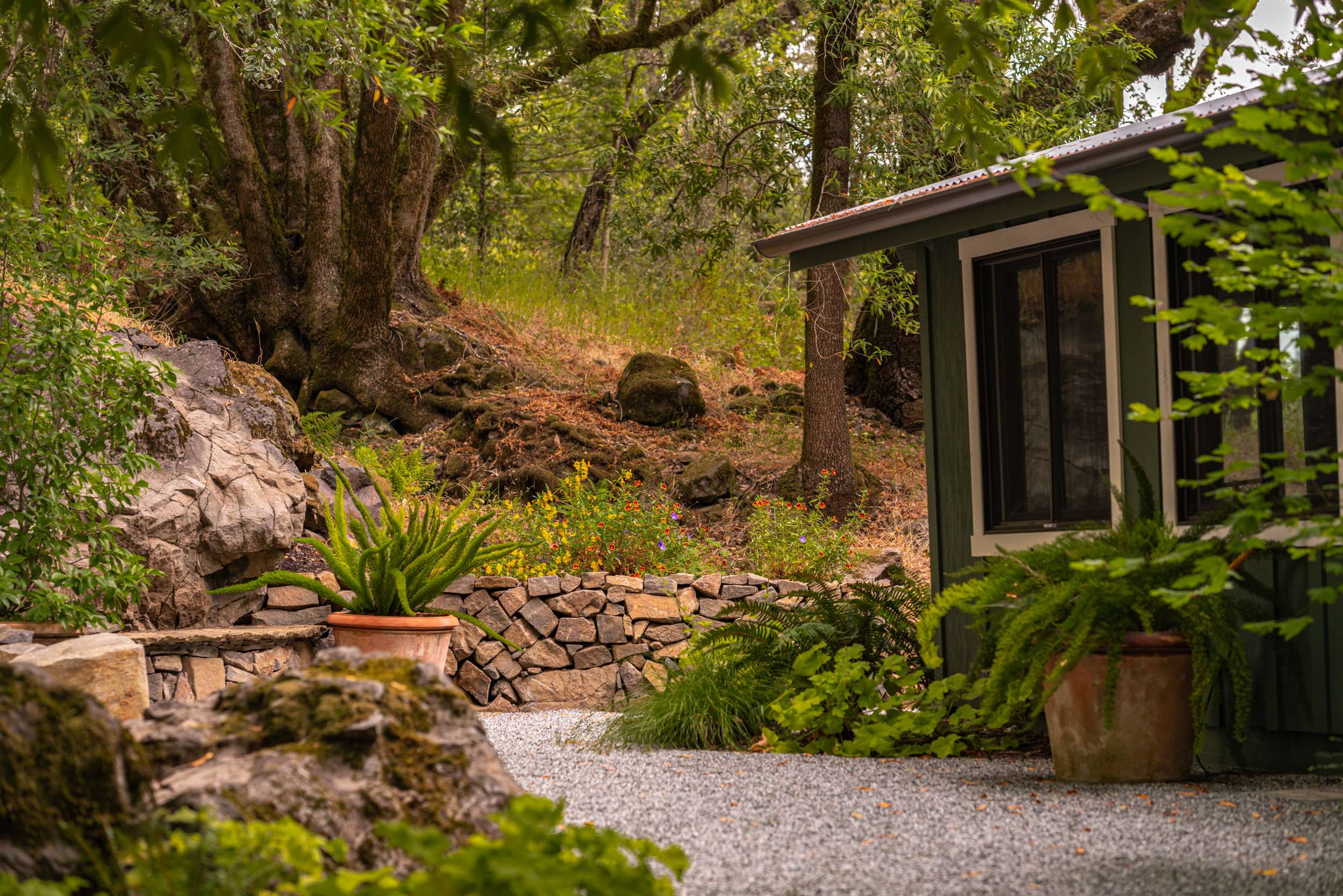 Woodland garden with native stone, ferns, and wildflowers surrounding a secluded retreat